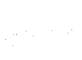 Harmony Home Decor